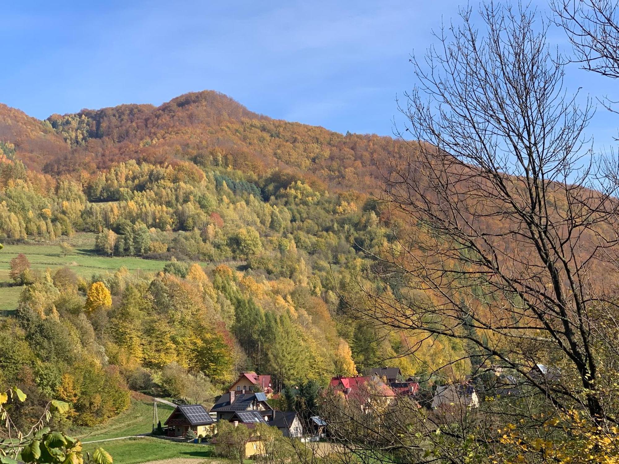 Domki Nad Dunajcem Tylmanowa Екстериор снимка