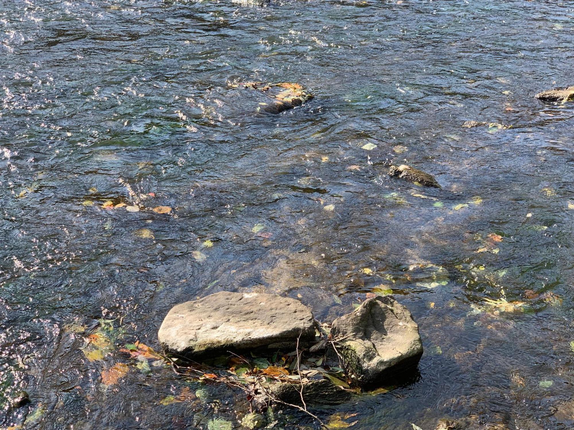 Domki Nad Dunajcem Tylmanowa Екстериор снимка