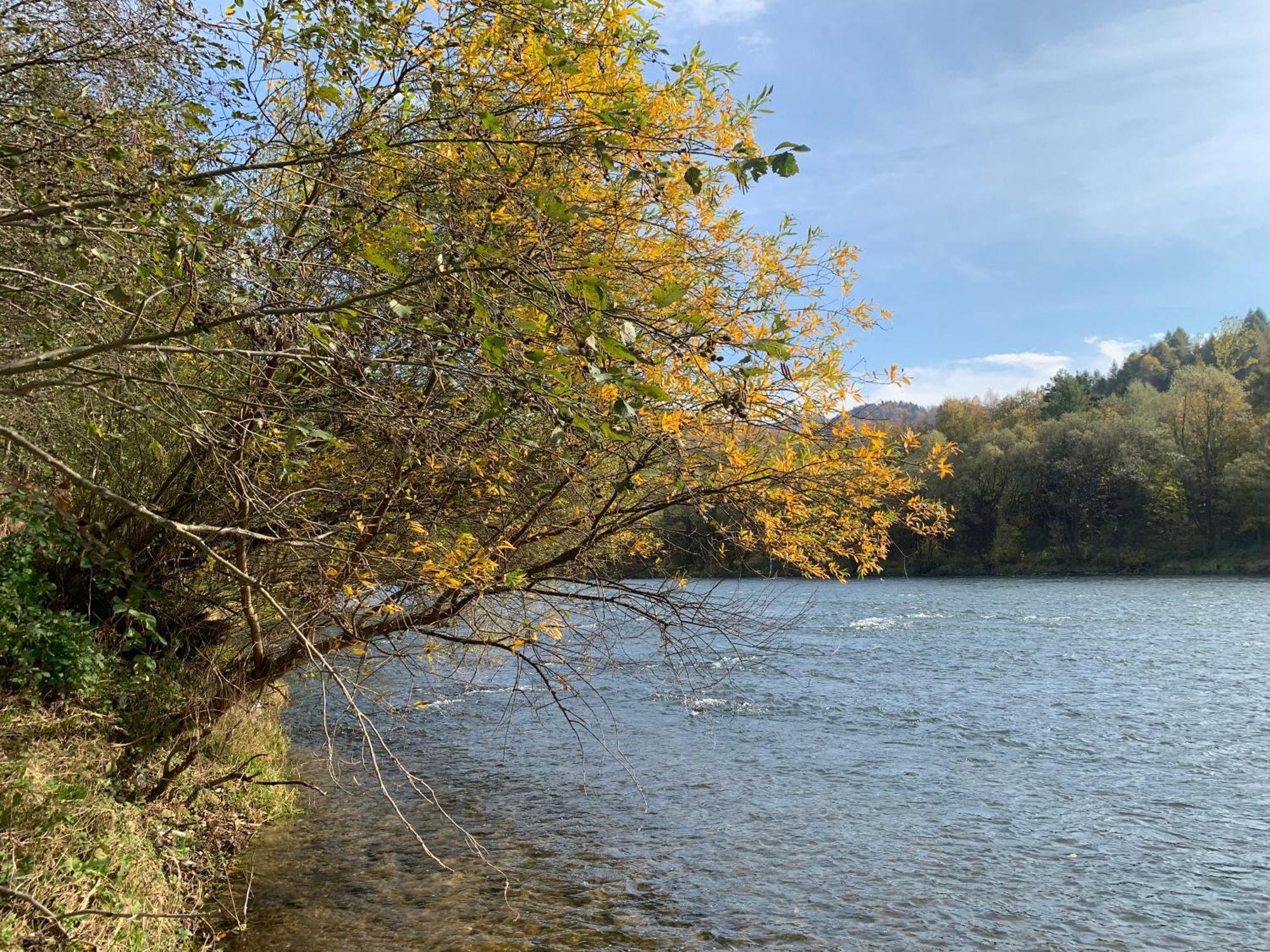 Domki Nad Dunajcem Tylmanowa Екстериор снимка